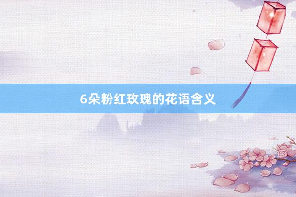 6朵粉红玫瑰的花语含义