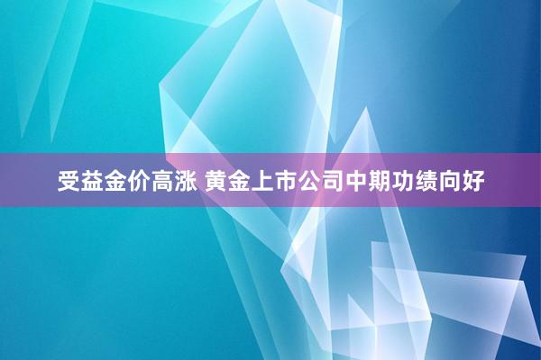 受益金价高涨 黄金上市公司中期功绩向好