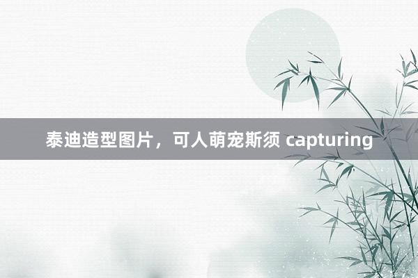 泰迪造型图片，可人萌宠斯须 capturing